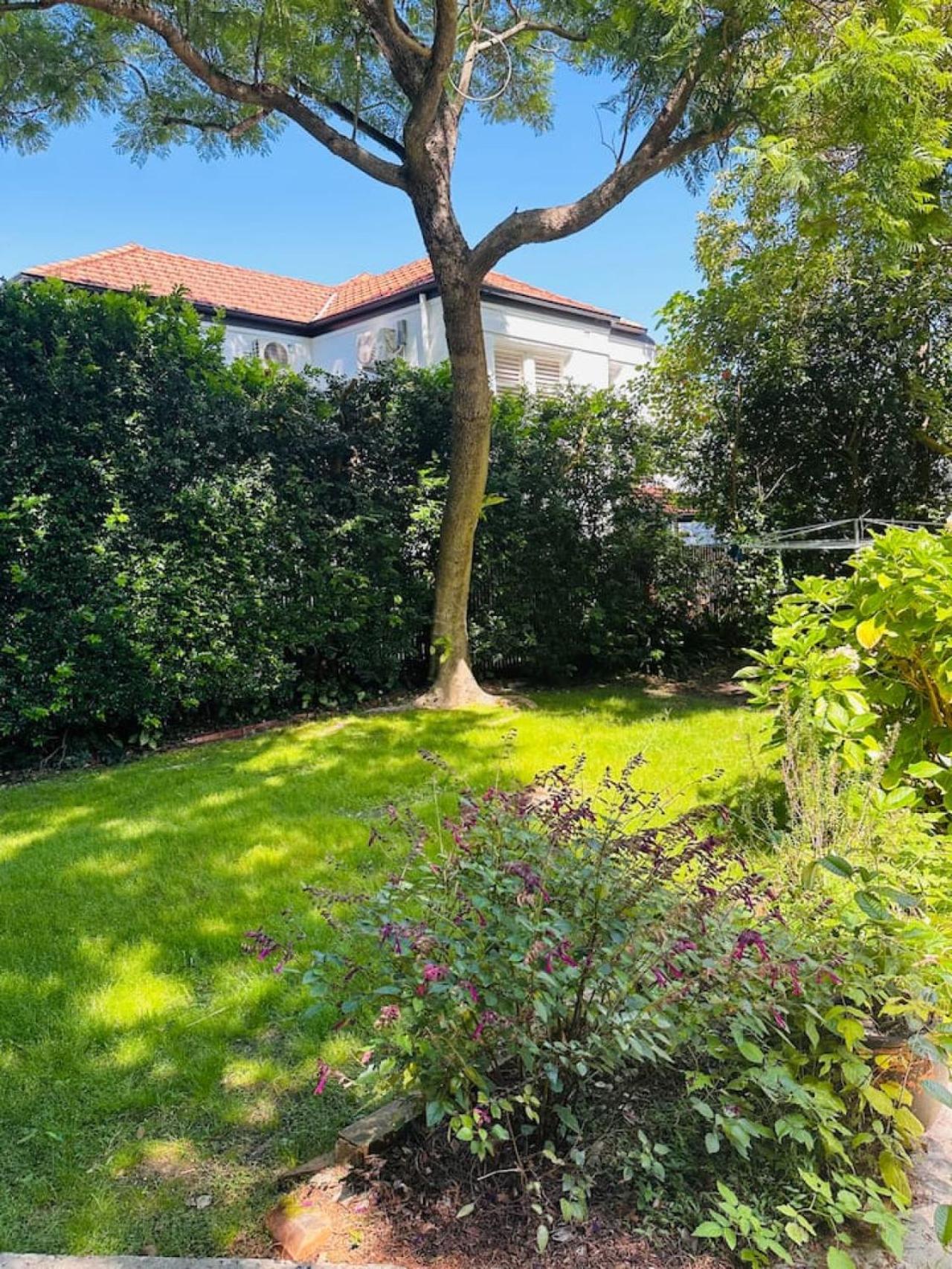 Art Deco Garden House Like Proportions Apartment